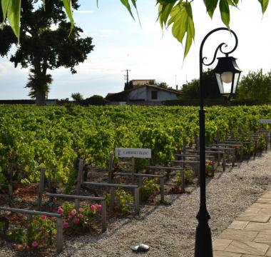 Pauillac