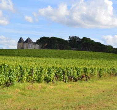 Sauternes